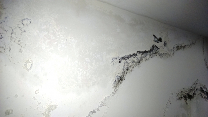 高雄新建案之這是壁癌還是水氣未乾?(12/6已找出原因,並修繕完成)