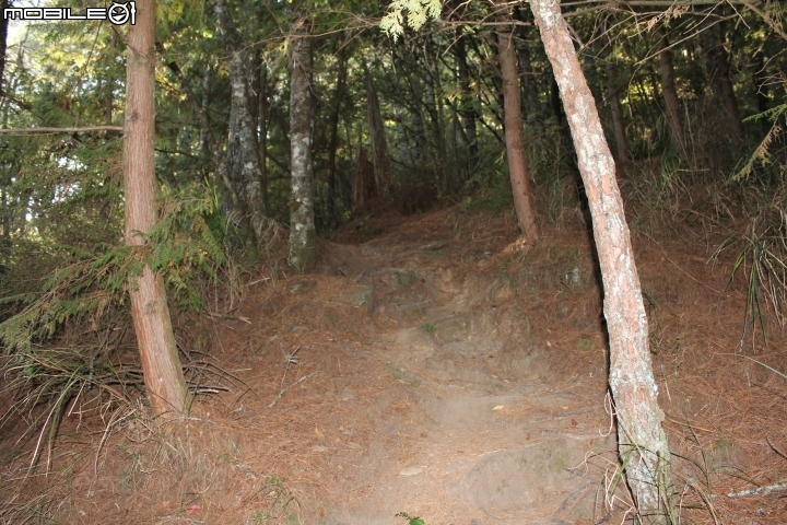2014.11.06-單天攻3秀-品田山.池有山.桃山.贈送桃山瀑布-天氣初期優