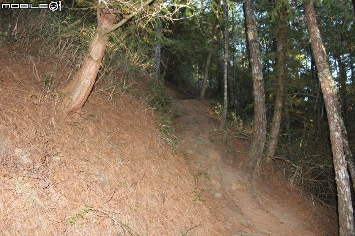 2014.11.06-單天攻3秀-品田山.池有山.桃山.贈送桃山瀑布-天氣初期優