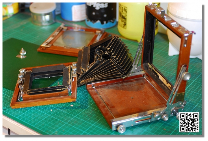 NAGAOKA 4x5 老相機復活記