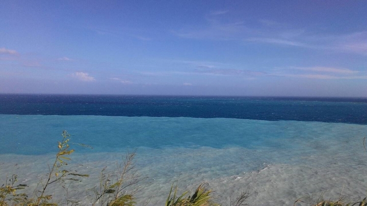 大獅花蓮群聚首 海鮮兩天吃不厭