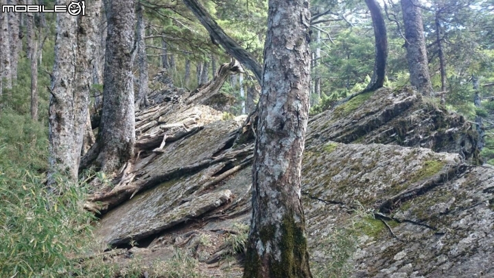2014.11.06-單天攻3秀-品田山.池有山.桃山.贈送桃山瀑布-天氣初期優