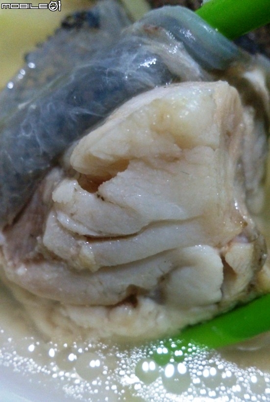 釣人料理隨筆-間帶石斑篇