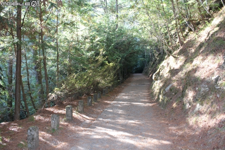2014.11.06-單天攻3秀-品田山.池有山.桃山.贈送桃山瀑布-天氣初期優