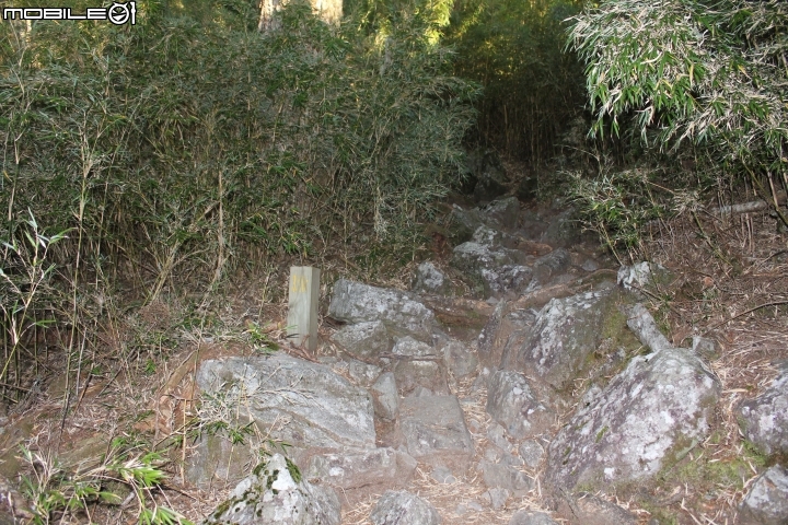 2014.11.06-單天攻3秀-品田山.池有山.桃山.贈送桃山瀑布-天氣初期優