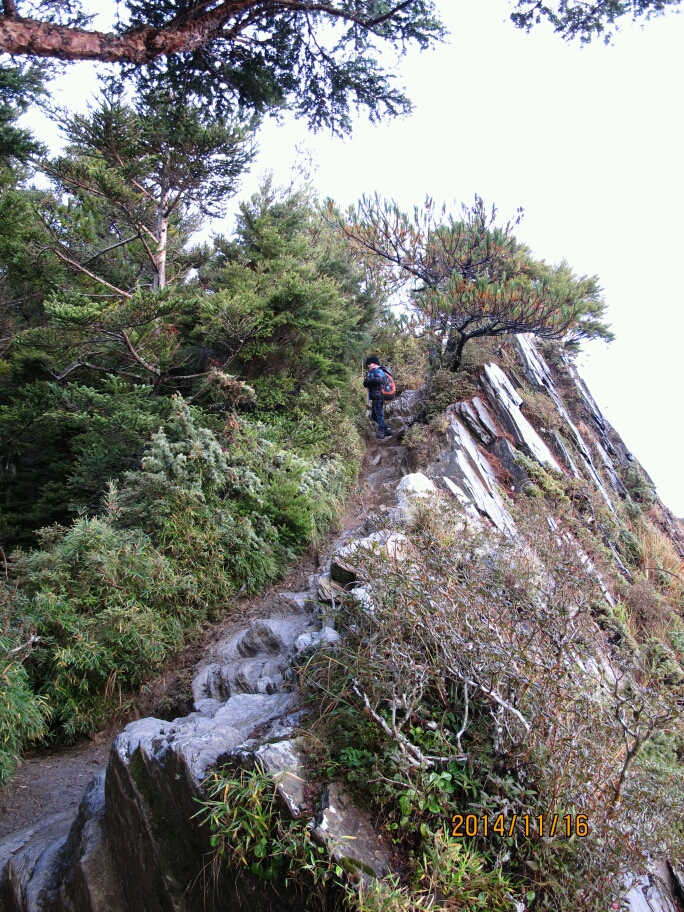 寒流來…期待下雪…合歡北峰&小溪營地