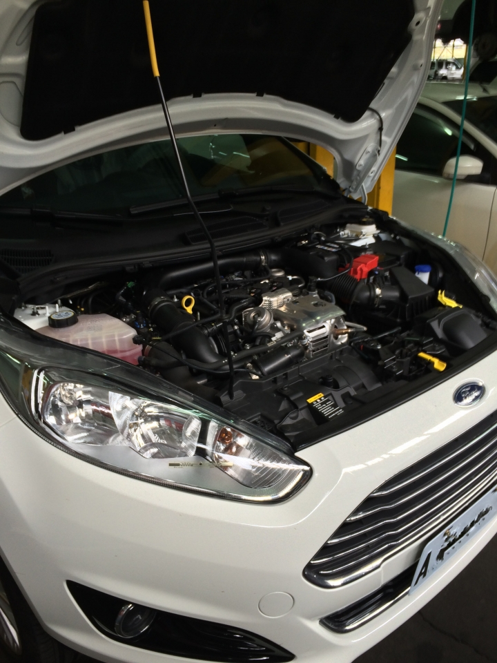 fiesta 1.0t 小白肥 草莓開箱文(長期更新不關箱分享文)