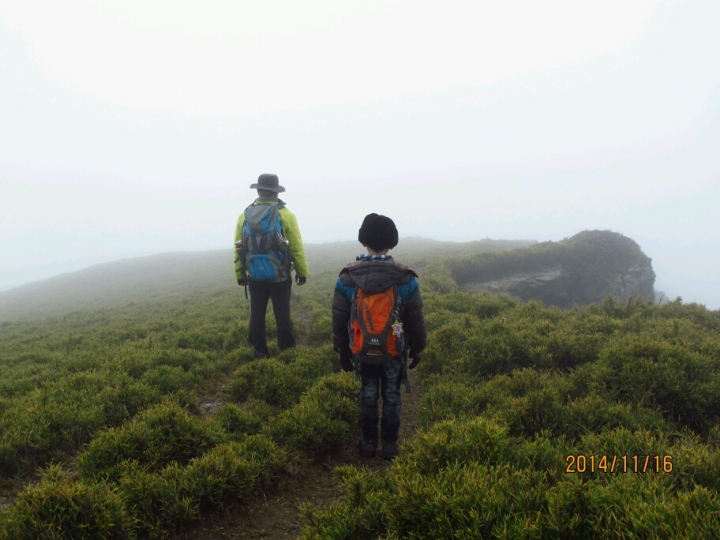 寒流來…期待下雪…合歡北峰&小溪營地