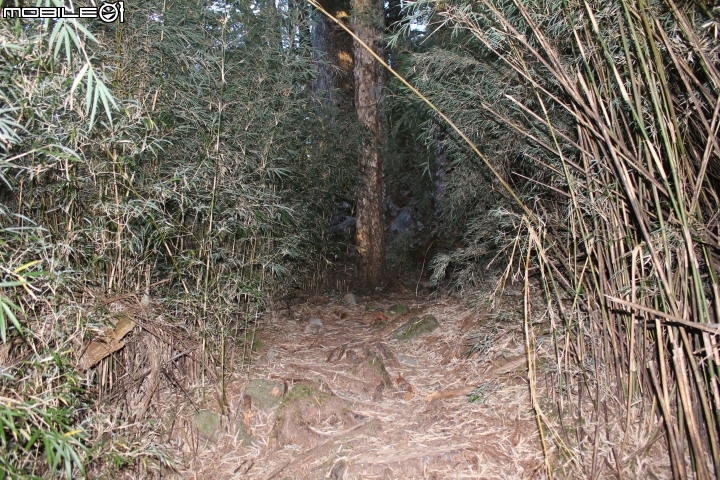 2014.11.06-單天攻3秀-品田山.池有山.桃山.贈送桃山瀑布-天氣初期優
