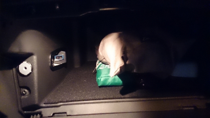 Mondeo MK4 歐規SONY音響上身