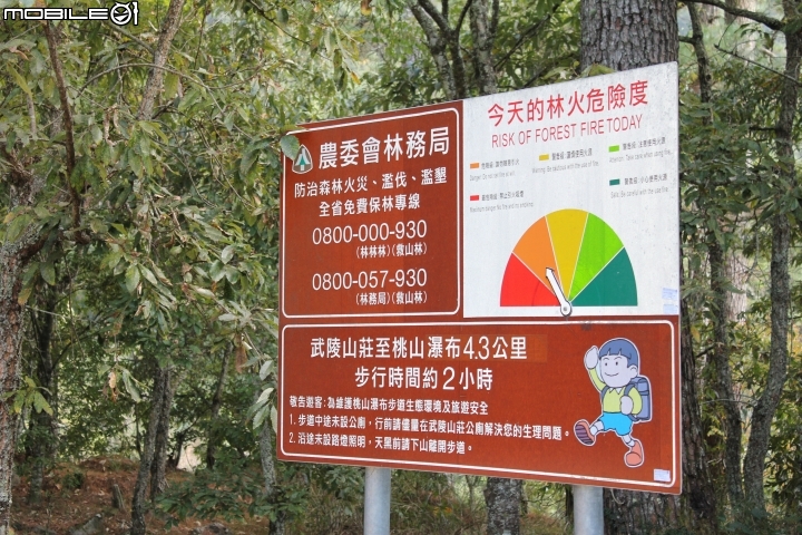 2014.11.06-單天攻3秀-品田山.池有山.桃山.贈送桃山瀑布-天氣初期優