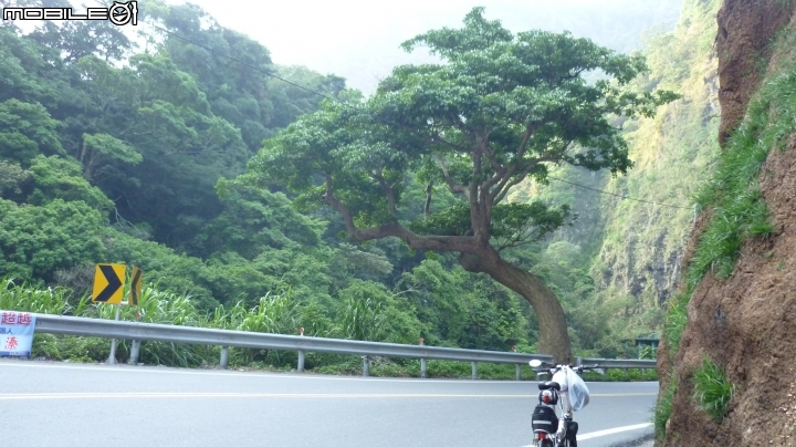 人和車的嚴酷考驗!~ 七速陽春小折騎上武嶺!!