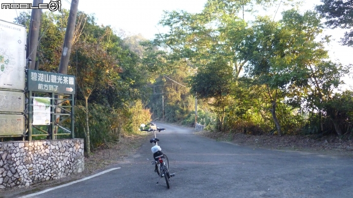 七速小折休閒半日遊 - 上碧湖山茶園很棒的小環線