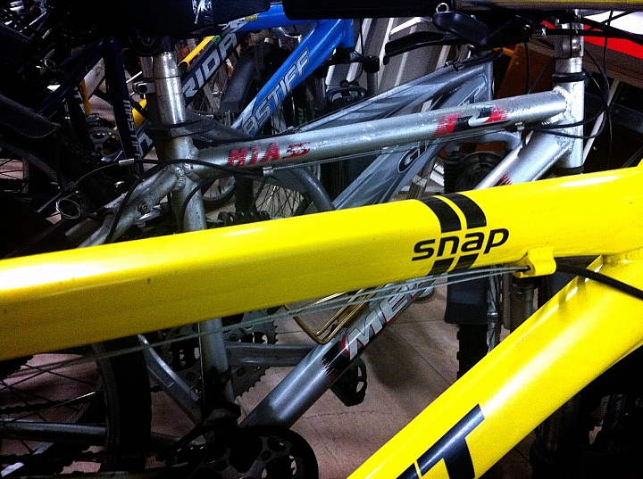 Giant snap 21好漂亮...