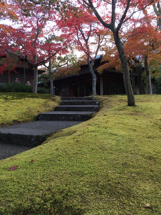 日本箱根紅葉之旅