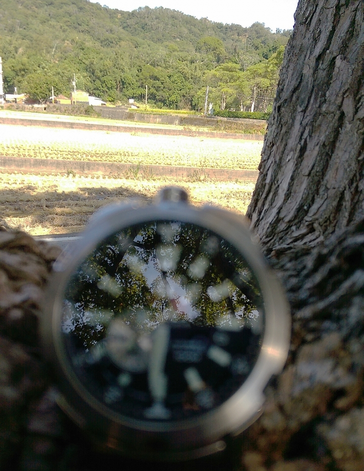 Seiko 盾牌5號, 青山綠水開箱