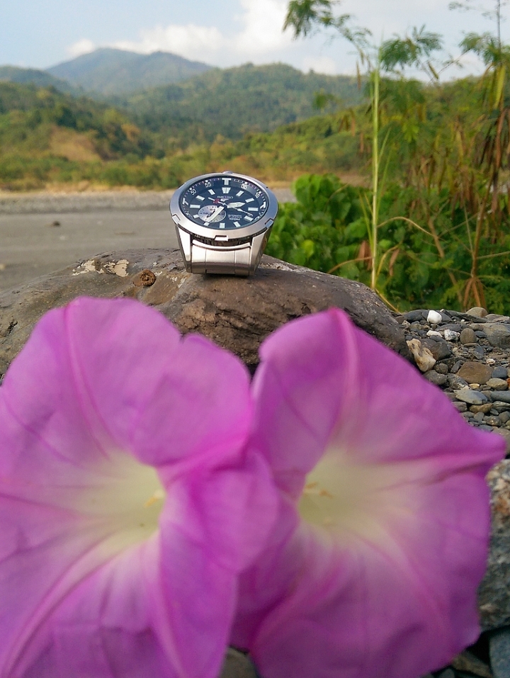 Seiko 盾牌5號, 青山綠水開箱