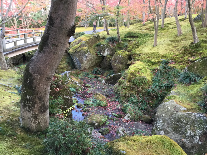 日本箱根紅葉之旅