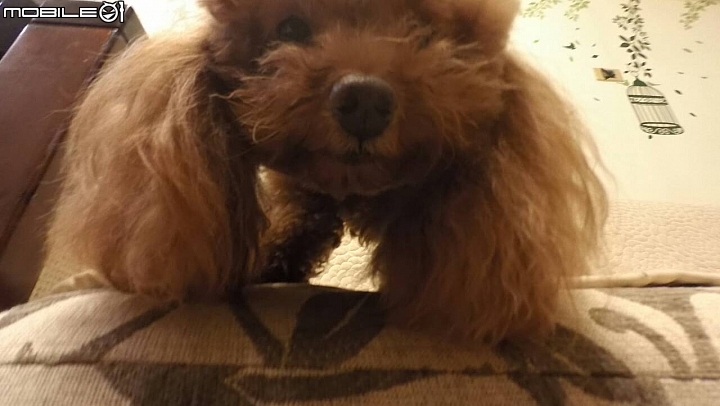 hTC RE 白如意之餓犬搭阿愣來開箱(慢動作影片+行車記錄器)