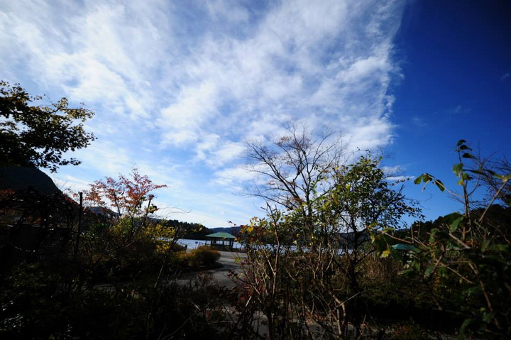 日本箱根紅葉之旅