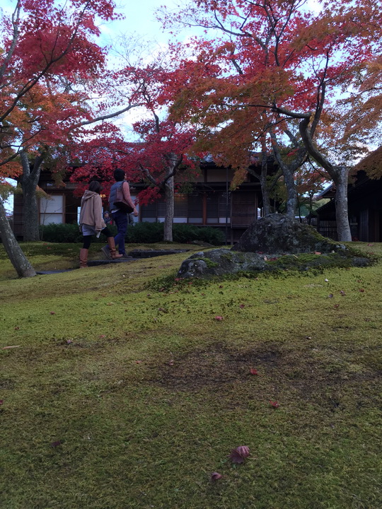 日本箱根紅葉之旅