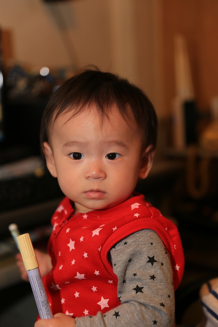 EF 24-70 F2.8II 幸福開箱