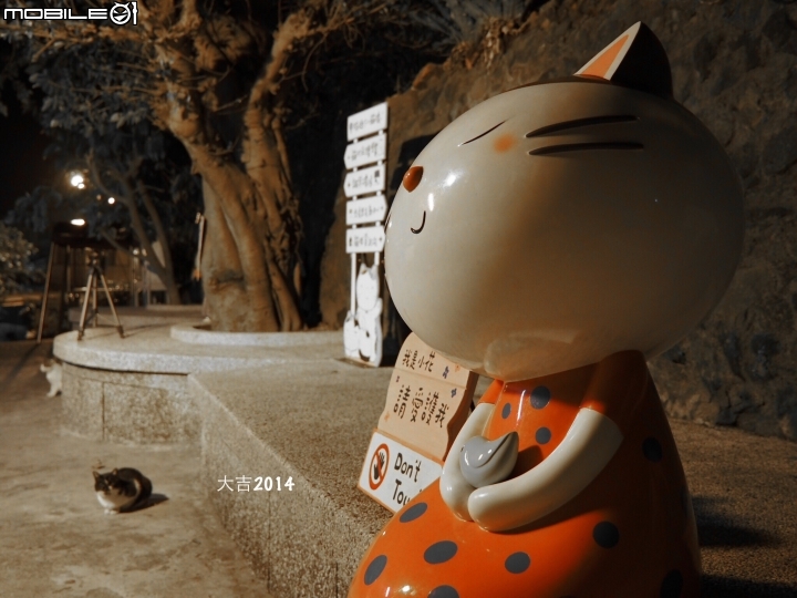 夜訪貓村,沒有遊客的吵雜