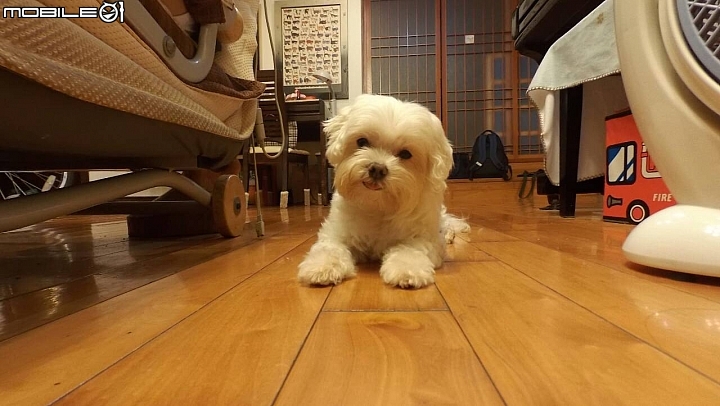hTC RE 白如意之餓犬搭阿愣來開箱(慢動作影片+行車記錄器)