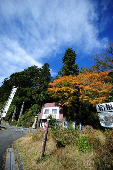 日本箱根紅葉之旅