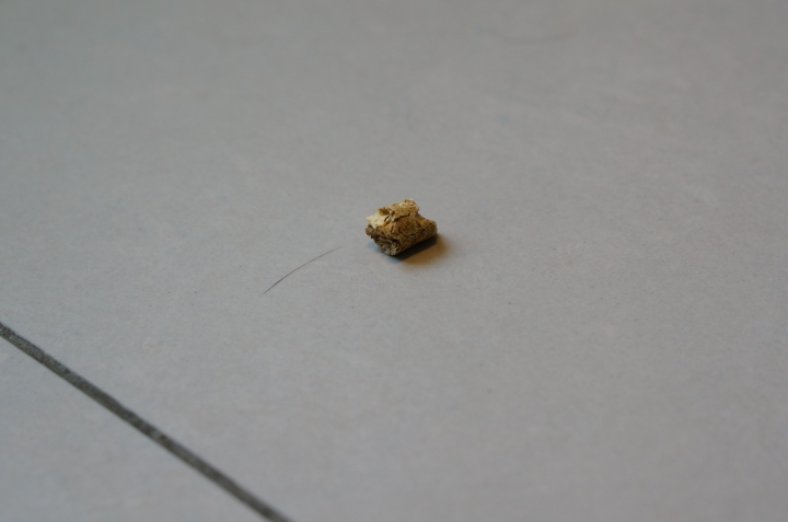 <心得> Dyson Fluffy DC74 Motherhead Complete