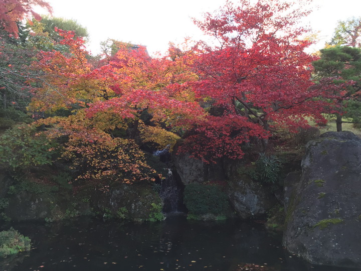 日本箱根紅葉之旅