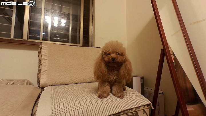 hTC RE 白如意之餓犬搭阿愣來開箱(慢動作影片+行車記錄器)