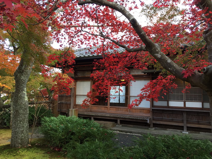 日本箱根紅葉之旅
