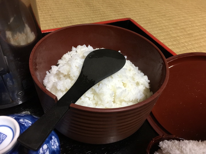 日本箱根紅葉之旅