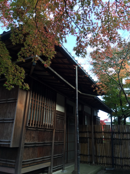 日本箱根紅葉之旅