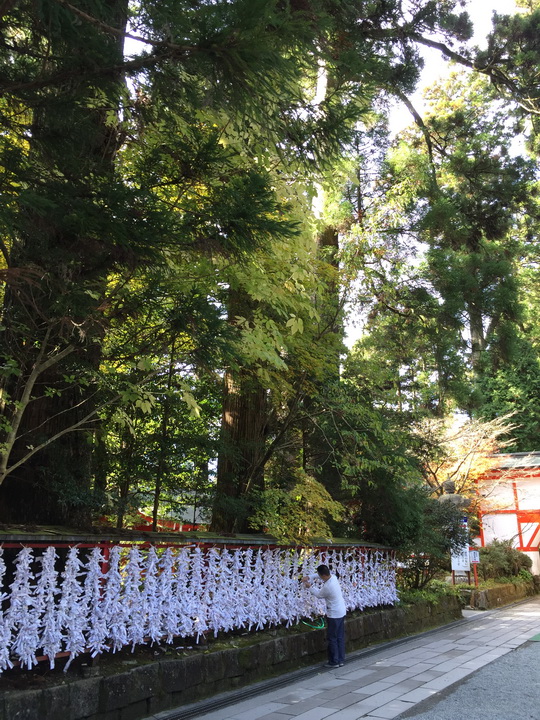 日本箱根紅葉之旅