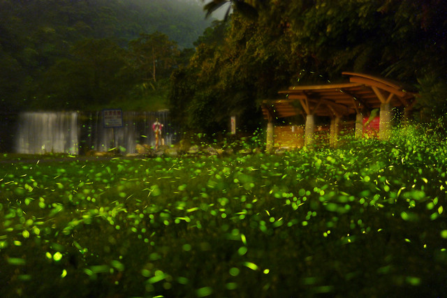 2014年~攝影心路歷程回顧