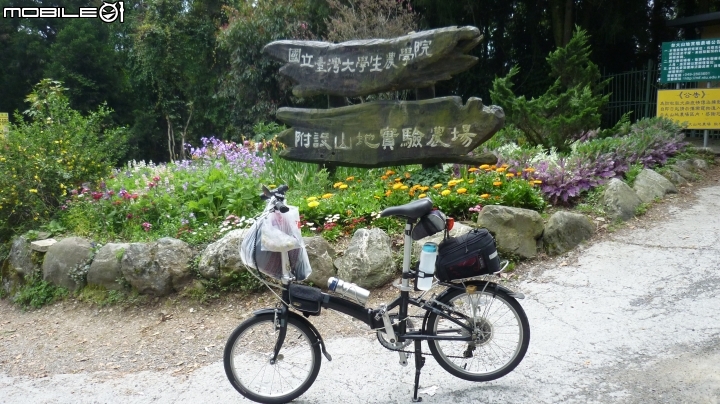 人和車的嚴酷考驗!~ 七速陽春小折騎上武嶺!!