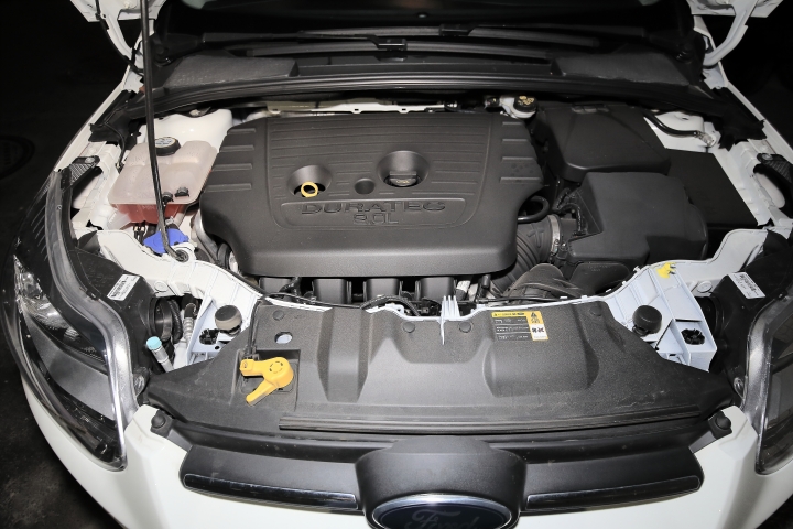 Ford 好友默契出遊去 - New FOCUS 2.0 5D台南後壁土溝一日遊