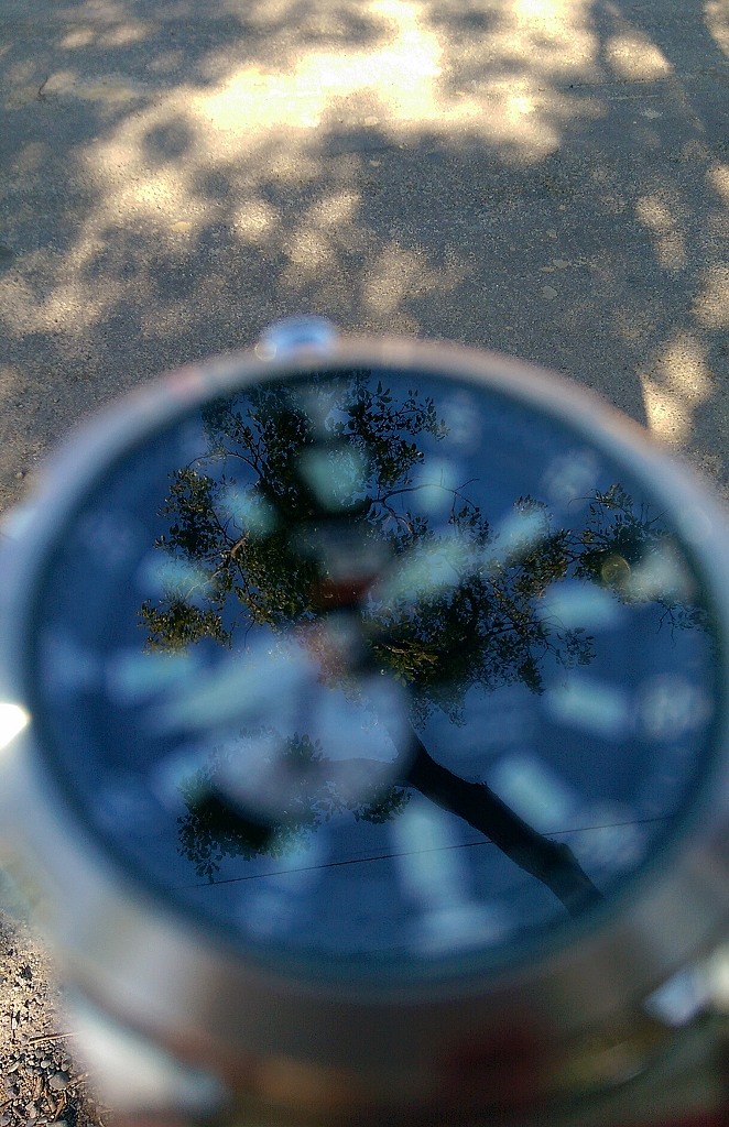Seiko 盾牌5號, 青山綠水開箱