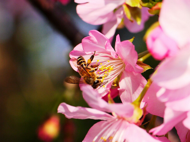 2014年~攝影心路歷程回顧