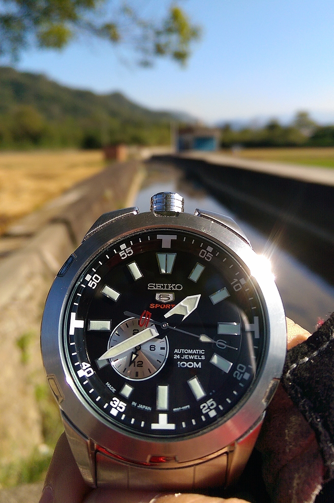 Seiko 盾牌5號, 青山綠水開箱