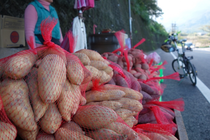 2014年永不放棄歲末場,新版陽金公路山道,