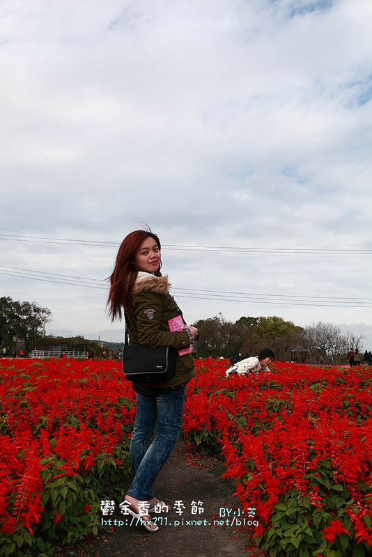 【台中景點】騙人!這不在荷蘭?2015后里中社花市鬱金香花海全攻略懶人包!