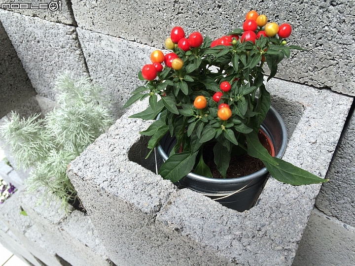 《開箱》屬於我的天空