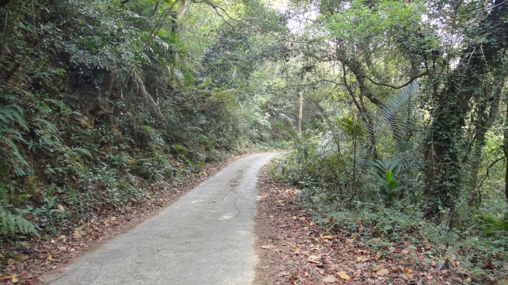 2015-01-03誤入歧途之台13線穿越九華山之旅