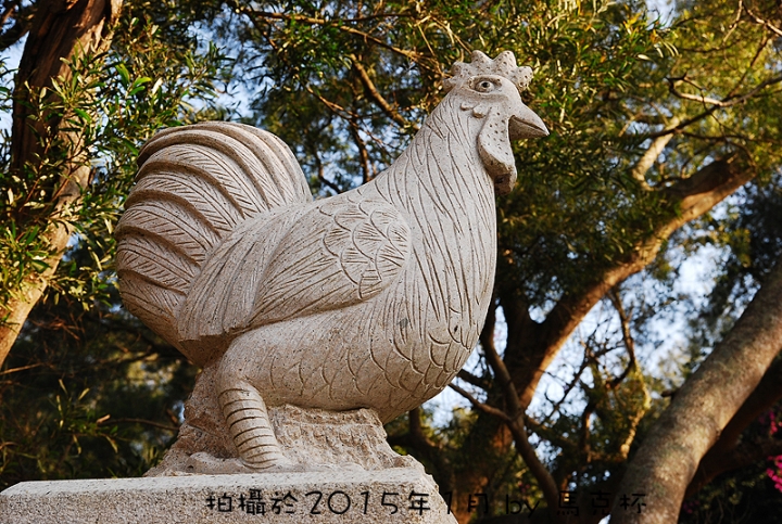 【遊記】重現戰地厝尾頂神鳥-烈嶼自行車尋騎