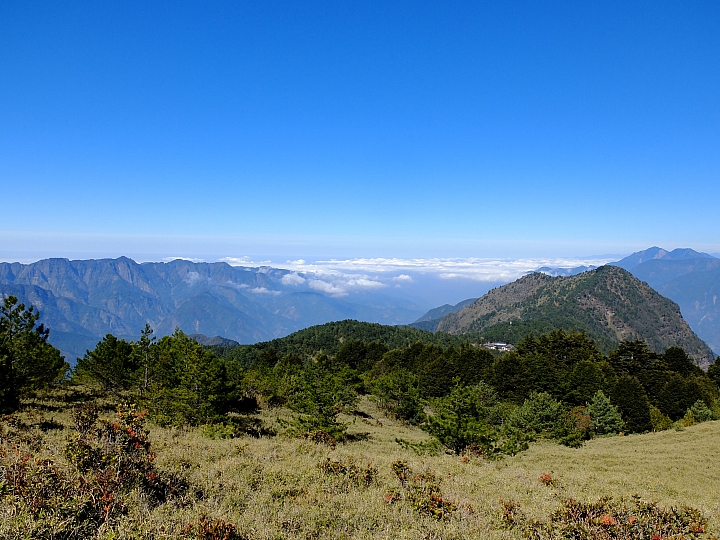 「乘著風，塔塔加踏青」