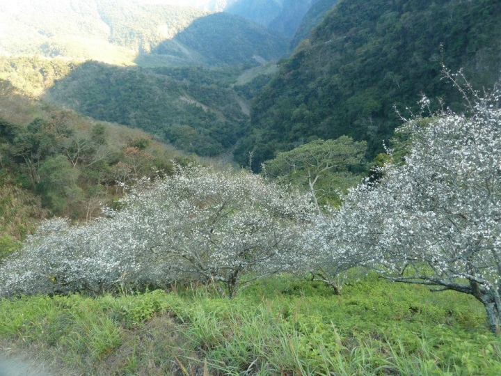 1040105 台20線圓夢之旅