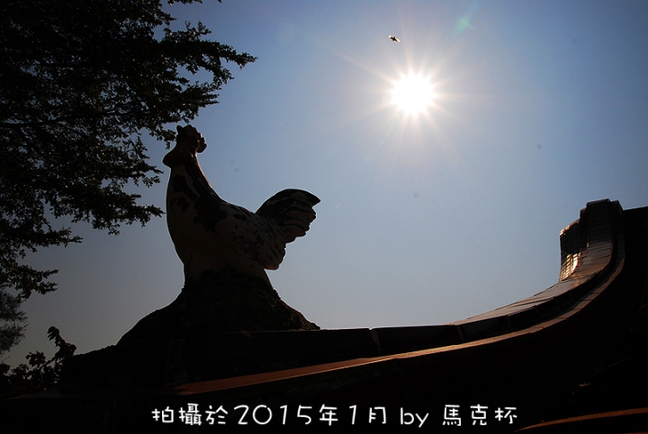 【遊記】重現戰地厝尾頂神鳥-烈嶼自行車尋騎